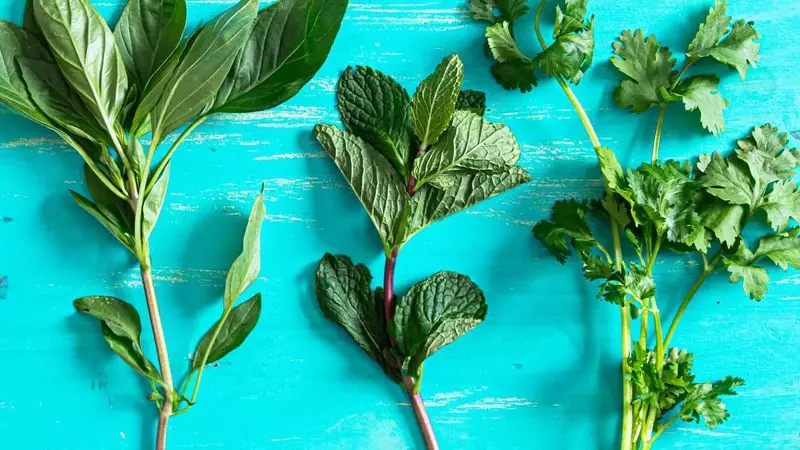 Reviving Wilted Herbs: A Guide to Crafting Flavorful Herb Oils