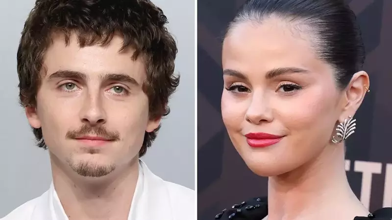 Chalamet and Gomez to Lead Illumination's 'Not Alone' Animated Feature
