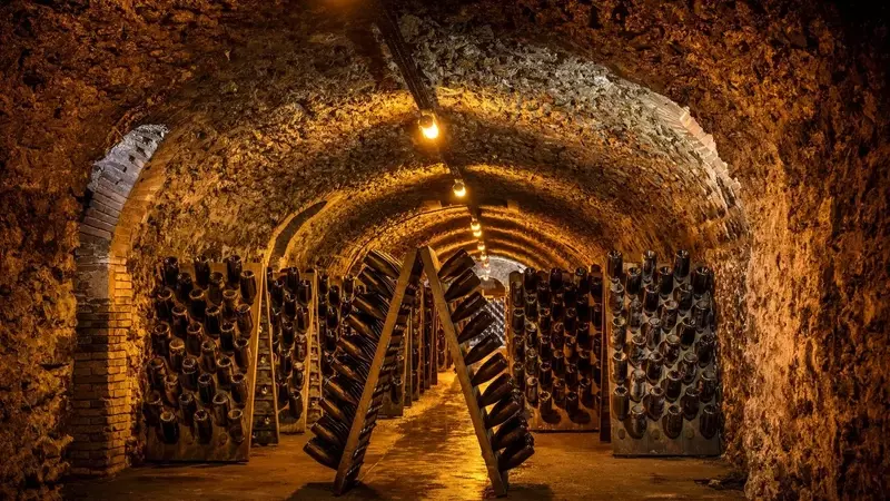Exploring the Enchanting World of Underground Wine Caves