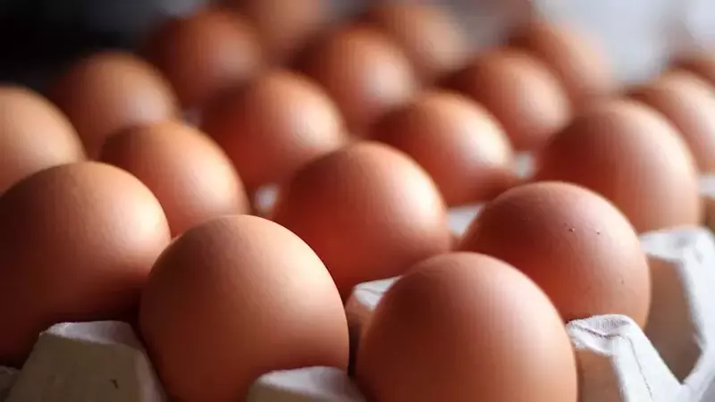 St. Ewe Free Range Eggs Welcomes New Chairman and Non-Executive Directors