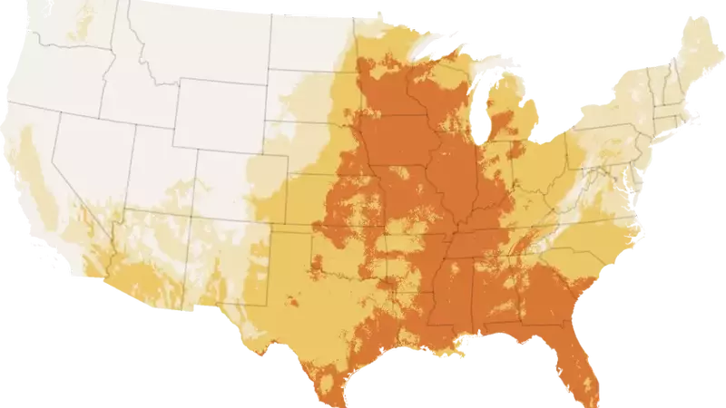 US Braces for Record-Breaking Heatwave Ahead of Holiday Weekend