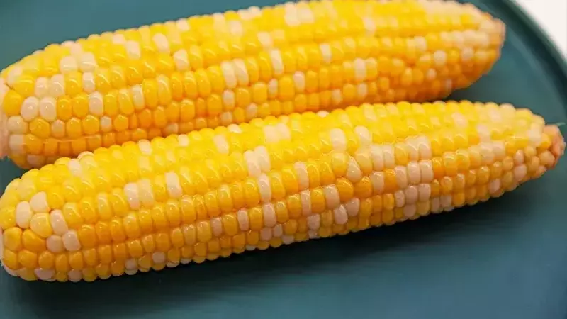 Optimal Corn Cooking: A Guide to Achieving Perfect Texture and Sweetness