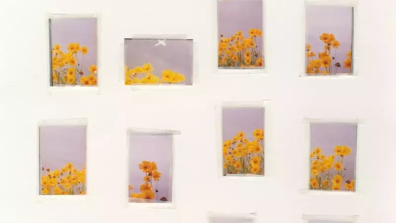 Nico Perez's 'Everything Is Nothing and Nothing Is Everything': A Photographic Journey of Connection and Truth