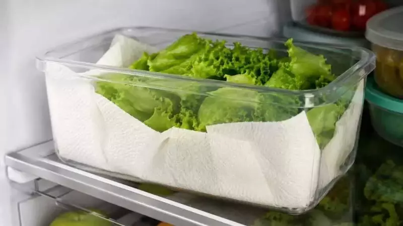 Prolunga la freschezza dell'insalata: il metodo infallibile per un'insalata croccante più a lungo