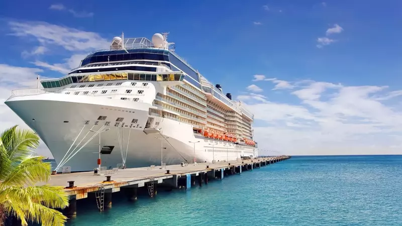 Casi di Norovirus sulla nave da crociera Ruby Princess: un'epidemia ricorrente