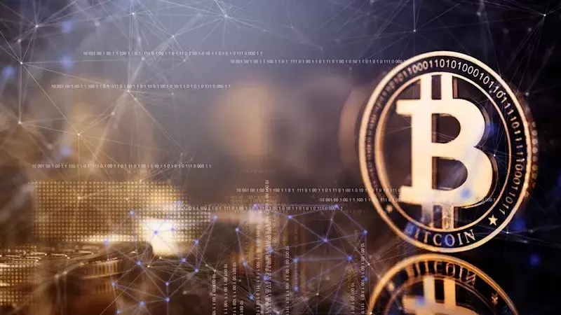 Bitcoin's Resilient Cycles: A Look at Historical Performance and Future Catalysts