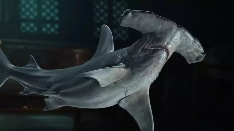Acquiring Hammerhead Shark Bones in Assassin's Creed Black Flag Resynced