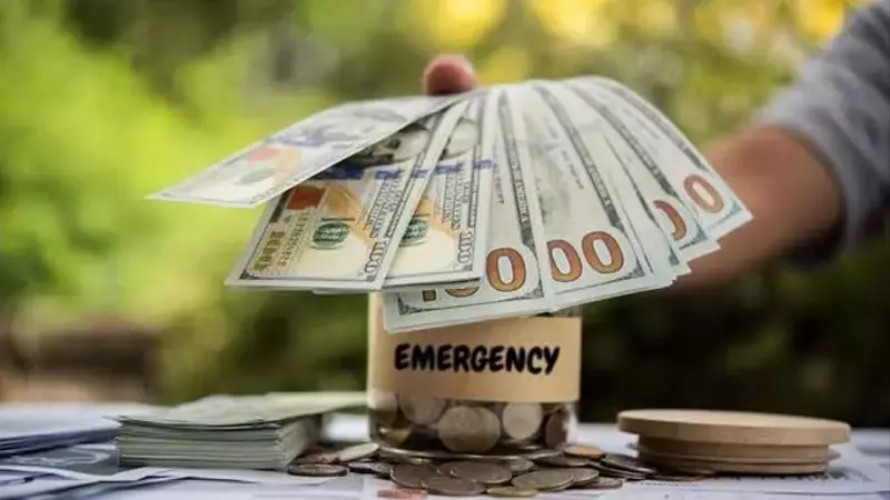 Personal Loans in New Zealand: Understanding Your Borrowing Options