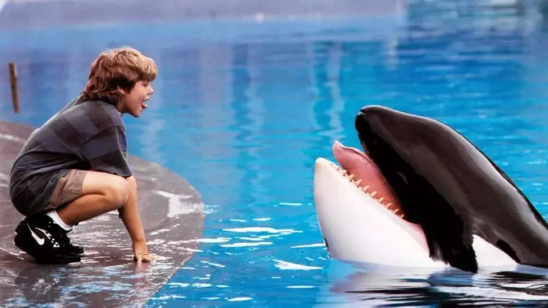 Warner Bros. Developing "Free Willy" Reboot with AGBO Producing