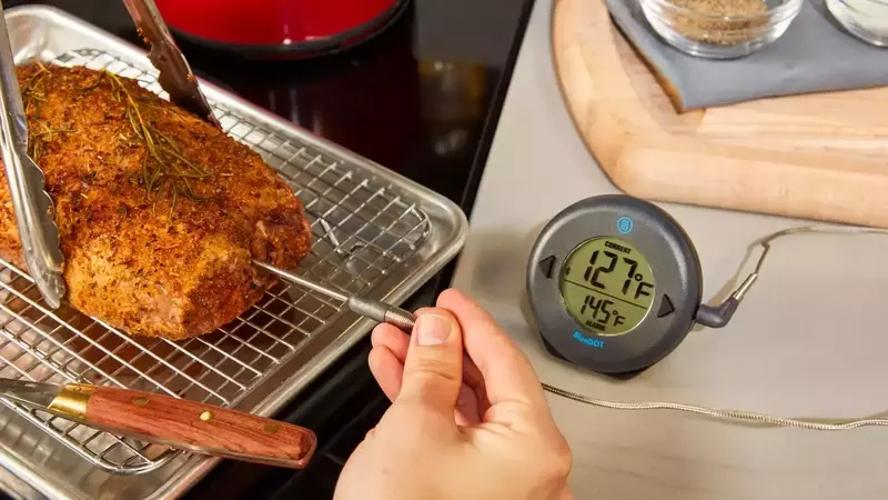 Mastering Culinary Precision: A Comprehensive Guide to Meat Thermometers