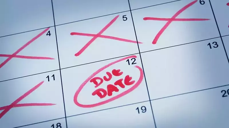Understanding Pregnancy Due Dates and Delivery Factors