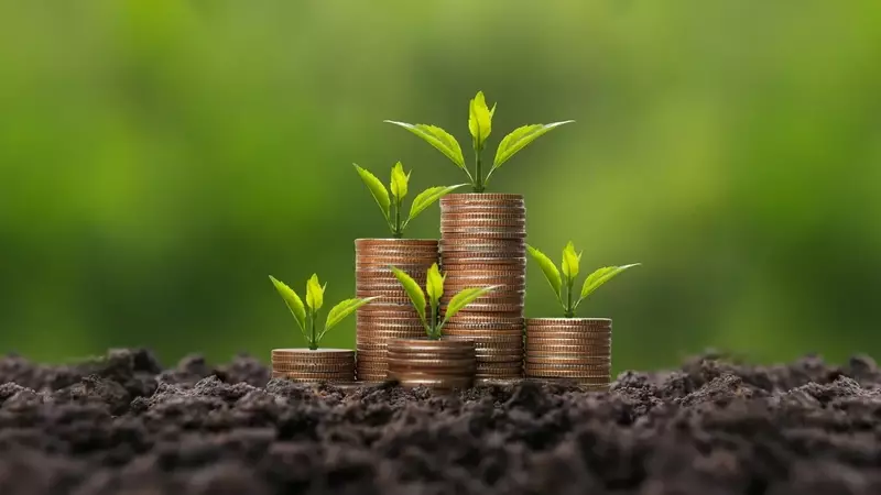 Achieving Early Retirement Through Sustainable High-Yield Dividend Investments