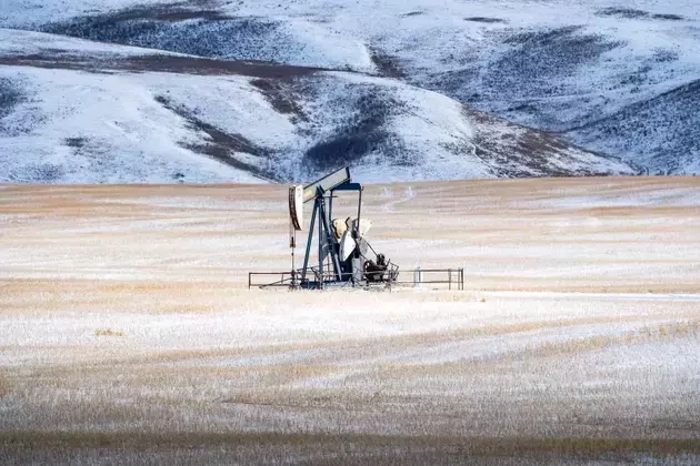 Canadian Natural Resources: A Resilient Dividend Powerhouse in a Dynamic Oil Market