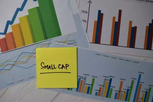 A Comparative Review of International Small- and Mid-Cap ETFs