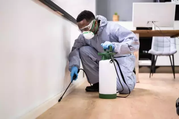 Navigating Investment in a Tech-Obsessed Market: A Pest Control Perspective