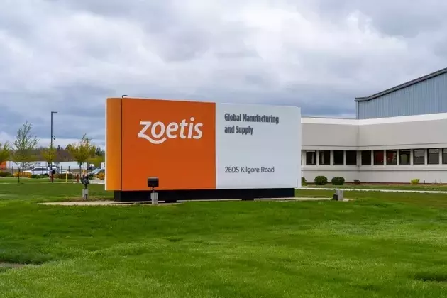 Zoetis: Navigating Market Volatility and Seizing Investment Opportunities