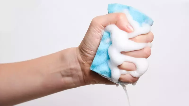 Le Spugne da Cucina: Un Focolaio Nascosto di Batteri Pericolosi