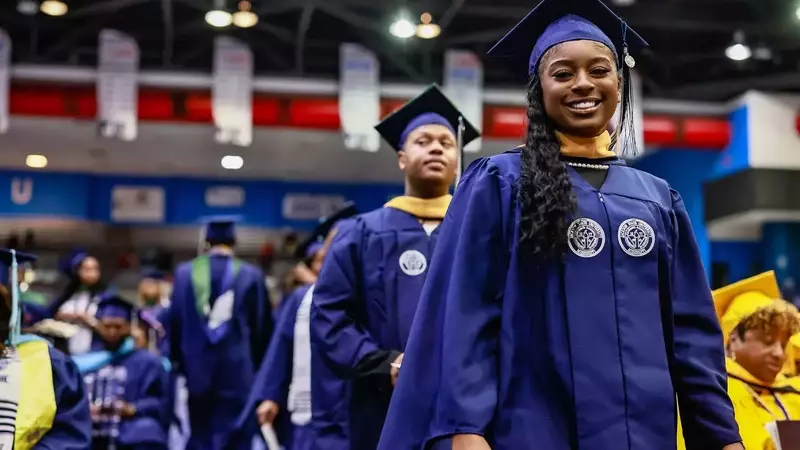 High-Paying Bachelor's Degrees for Job Security