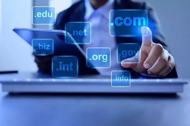 VeriSign: A Stable Monopoly with Limited Upside at Current Valuation