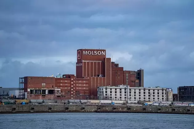 Molson Coors: Navigating Market Challenges with Strong Financial Footing