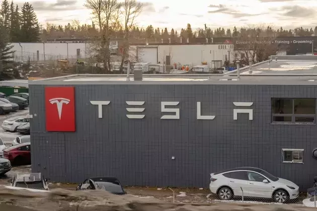 Tesla's Q2 Outlook: Record Deliveries Masking Deeper Financial Challenges