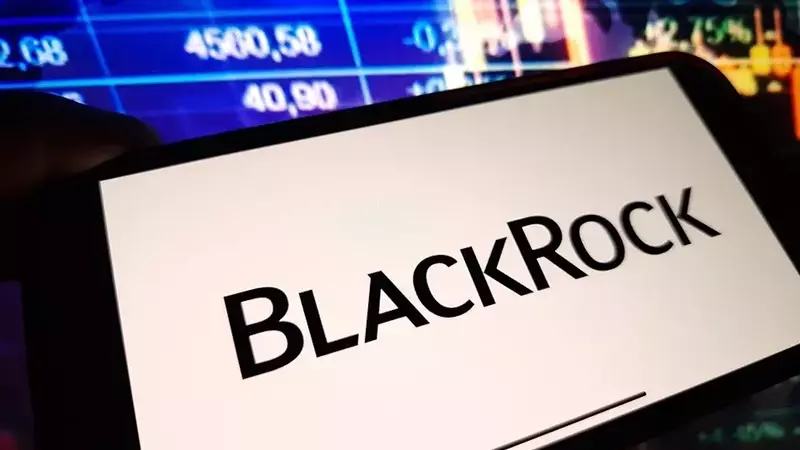 BlackRock's Crypto Assets Witness Significant Q2 Decline