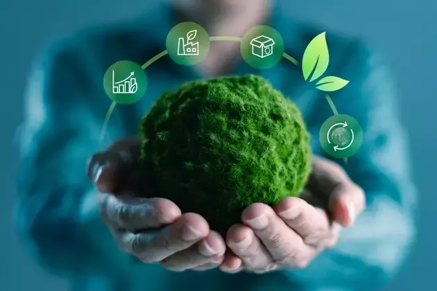 ClearBridge Sustainability Leaders Strategy: Q2 2026 Performance Review