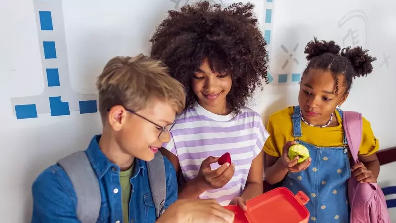 Navigating the Social Dynamics of School Lunchrooms