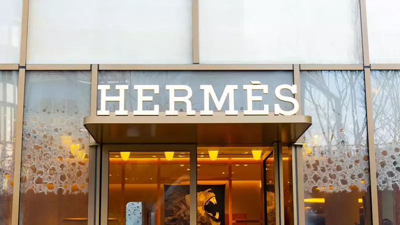 Hermès International: A Trajectory of Continued Growth and Profitability