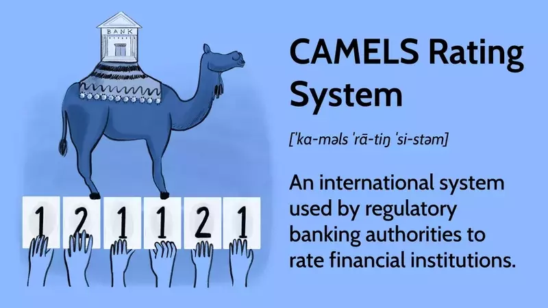 Understanding the CAMELS Rating System in Finance