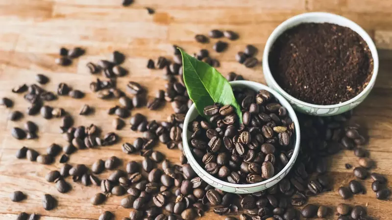 Caffè in Crisi: La Scienza Esplora Alternative Selvatiche per Salvare la Coltura Globale