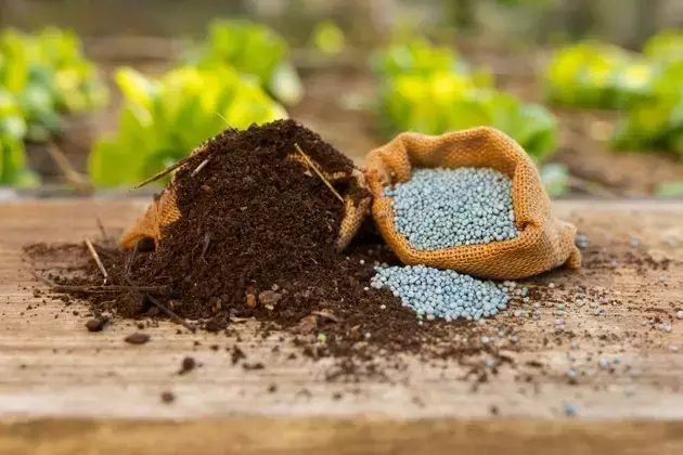 Mosaic Company's Promising Outlook Amidst Market Pessimism