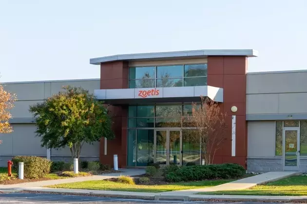 Zoetis: A Promising Investment in Animal Healthcare