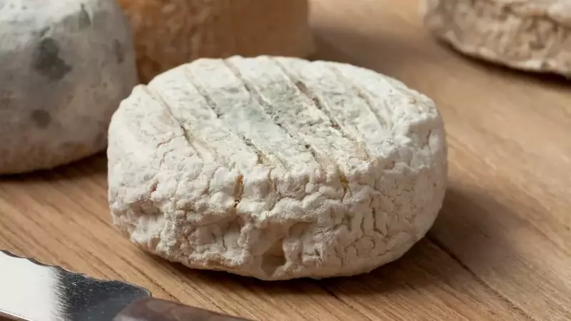 Allerta alimentare: Richiamo di formaggi di capra a latte crudo per presenza di Escherichia coli STEC