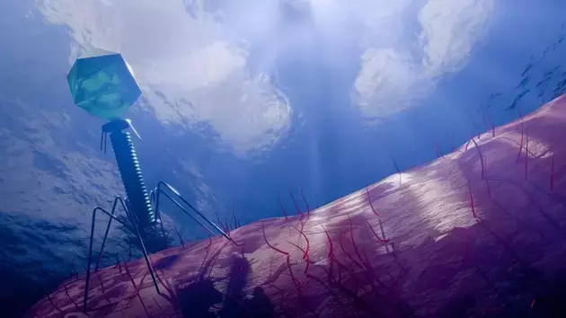 Armata Pharmaceuticals: A Critical Juncture with Promising Phage Therapy