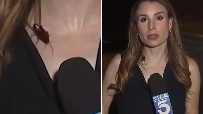 Unflappable Reporter's Cockroach Encounter Goes Viral