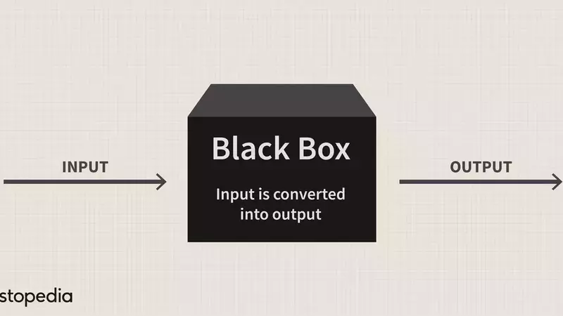 Understanding Black Box Models in Finance and Technology
