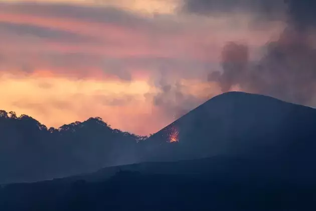 Hawaiian Electric: From Risk to Recovery