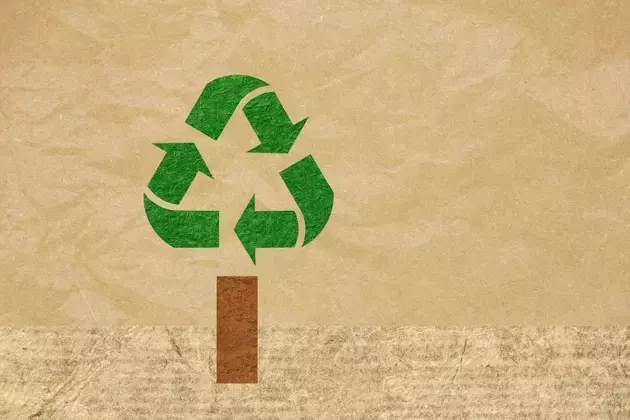 Waste Management: A Steady Performer in a Volatile Market