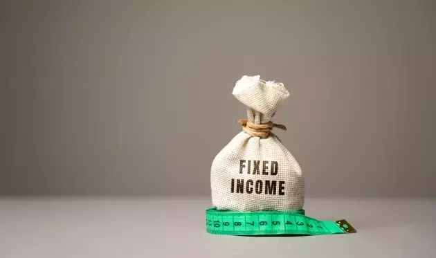 Navigating Fixed Income in a Period of Economic Uncertainty