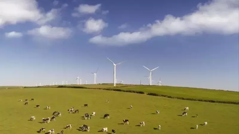 Clean Energy Fuels: High-Risk Investment Amidst Market Volatility