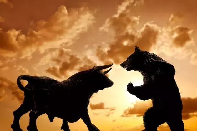 Identifying Resilient Stocks Amidst Market Downturns