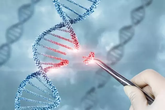 Scribe Therapeutics Embarks on IPO Journey for CRISPR Gene-Editing Pipeline