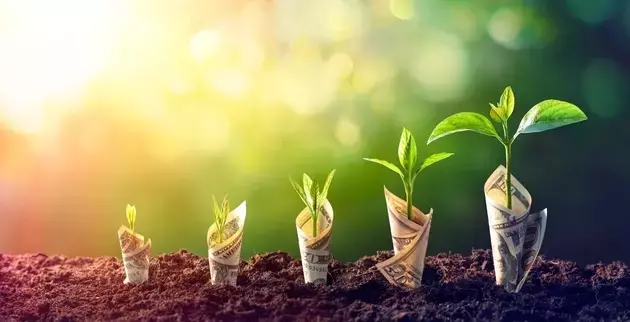 Investing in Undervalued Real Assets: A Strategic Approach