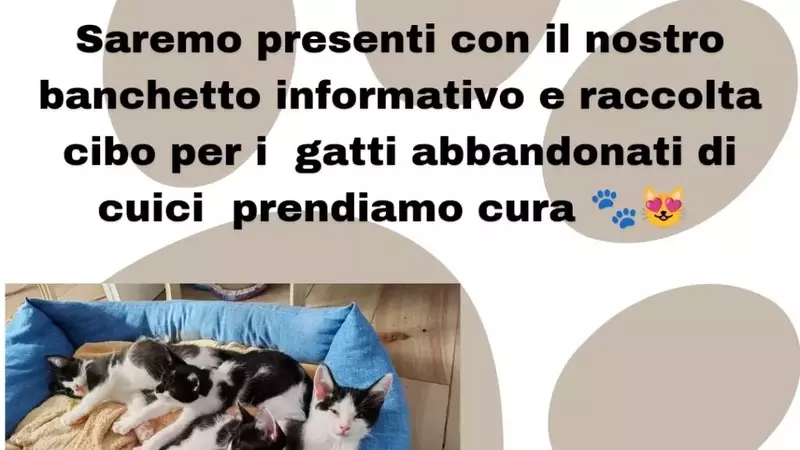 Raccolta alimentare straordinaria per i felini bisognosi ad Abano Terme