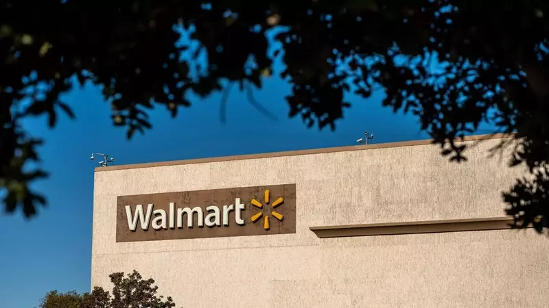 Maximize Your Road Trip Storage with a Discounted Rooftop Cargo Carrier at Walmart