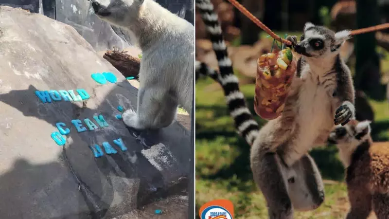 La cruda realtà degli animali negli zoo: tra caldo record e prigionia, un'esistenza di tristezza