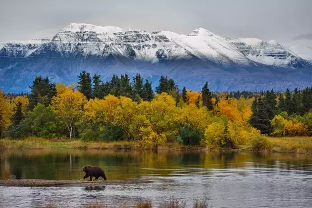 Northern Dynasty Minerals: A Risky Bet on Pebble Project