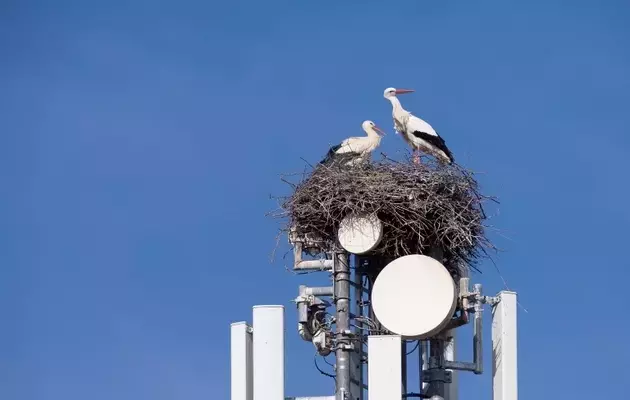 Crown Castle's Capital Mismanagement: A Deep Dive into Valuation and Covered Calls
