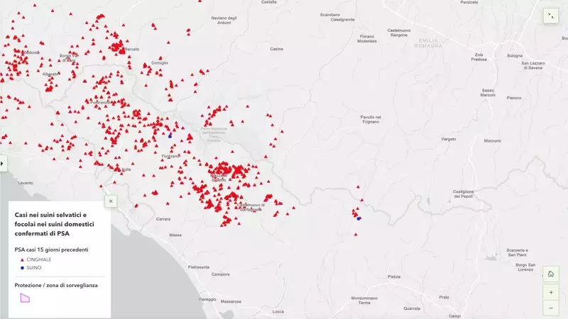 Emergenza Peste Suina Africana: Nuovi Focolai in Toscana Avvicinano il Virus all'Emilia